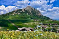 Undeveloped Land for sale in Gunnison County, Colorado