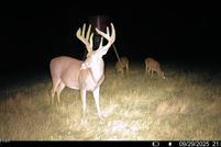 Waterfront Property for sale in Hinds County, Mississippi