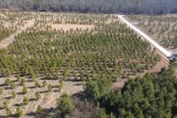 Property for sale in Polk County, Arkansas