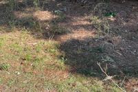 Property for sale in Walker County, Alabama