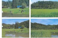 Property for sale in Benewah County, Idaho