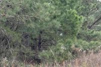 Property for sale in Sumter County, South Carolina