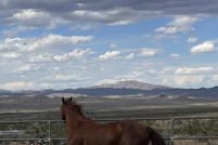 Property for sale in San Bernardino County, California