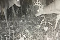 Farm Property for sale in Leslie County, Kentucky