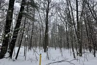 Property for sale in Mecosta County, Michigan