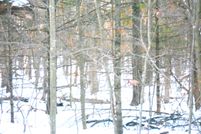 Property for sale in Waushara County, Wisconsin