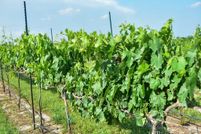 Property for sale in Blanco County, Texas