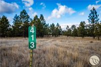 Undeveloped Land for sale in Stillwater County, Montana