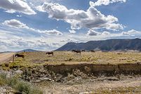 Property for sale in Albany County, Wyoming