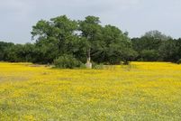 Farm Property for sale in Comal County, Texas