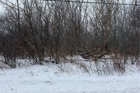 Undeveloped Land for sale in Lake County, Ohio