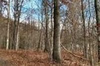 Undeveloped Land for sale in Schuylkill County, Pennsylvania