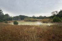 Undeveloped Land for sale in Freestone County, Texas