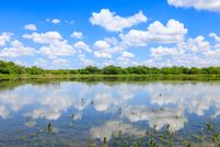 Property for sale in Starr County, Texas