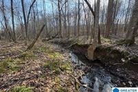 Undeveloped Land for sale in Tallapoosa County, Alabama
