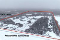 Undeveloped Land for sale in Lake of the Woods County, Minnesota