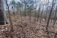 Undeveloped Land for sale in Newton County, Arkansas