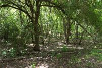 Undeveloped Land for sale in Lavaca County, Texas