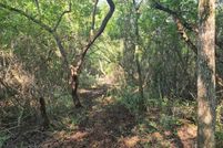 Property for sale in Tyler County, Texas