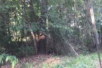 Farm Property for sale in Polk County, Texas