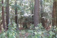 Undeveloped Land for sale in Walker County, Texas