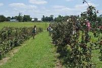 Property for sale in Leon County, Texas