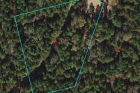 Undeveloped Land for sale in Walker County, Texas