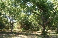 Undeveloped Land for sale in Brazoria County, Texas