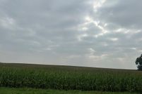 Undeveloped Land for sale in Renville County, Minnesota