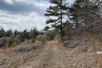 Undeveloped Land for sale in Saint Clair County, Alabama