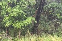 Property for sale in Hernando County, Florida