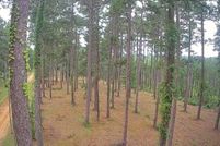 Lakefront Property for sale in LaSalle Parish, Louisiana