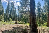 Farm Property for sale in Plumas County, California