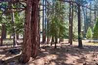 Farm Property for sale in Plumas County, California