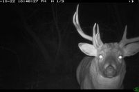 Undeveloped Land for sale in Richland County, Wisconsin