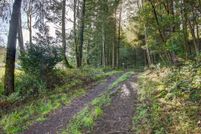 Undeveloped Land for sale in Coos County, Oregon