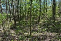 Undeveloped Land for sale in Murray County, Georgia