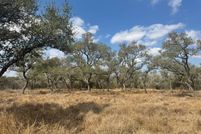 Undeveloped Land for sale in Dewitt County, Texas