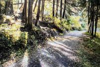 Property for sale in Tillamook County, Oregon