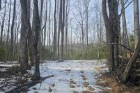 Recreational Property for sale in Greene County, Virginia