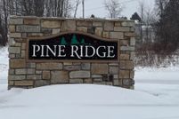 Undeveloped Land for sale in Isabella County, Michigan