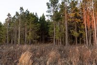 Undeveloped Land for sale in Laurens County, Georgia