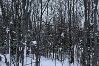 Undeveloped Land for sale in Ontonagon County, Michigan