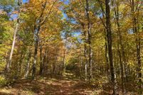 Property for sale in Langlade County, Wisconsin
