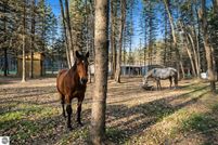 Farm Property for sale in Wexford County, Michigan