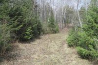 Undeveloped Land for sale in Iron County, Michigan