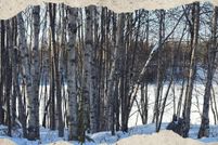 Farm Property for sale in Kenai Peninsula Borough, Alaska