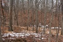 Undeveloped Land for sale in Shenandoah County, Virginia