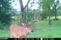 Farm Property for sale in Adams County, Ohio