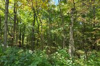Undeveloped Land for sale in Manitowoc County, Wisconsin